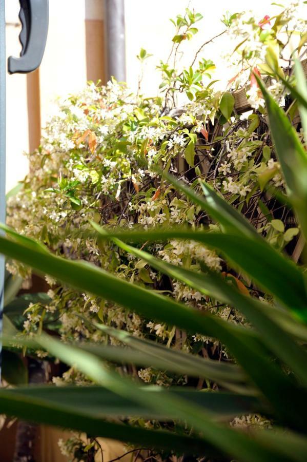 Giardino In Citta; Centralissimo Σαν Ρέμο Εξωτερικό φωτογραφία