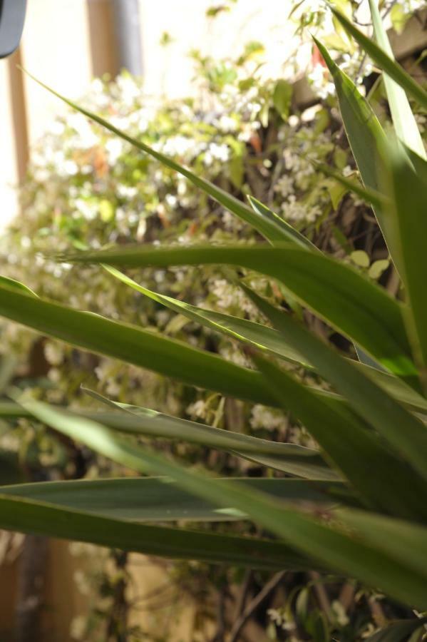 Giardino In Citta; Centralissimo Σαν Ρέμο Εξωτερικό φωτογραφία